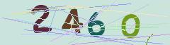 CAPTCHA validation image