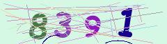 CAPTCHA validation image
