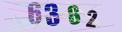 CAPTCHA validation image