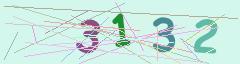CAPTCHA validation image