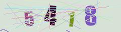 CAPTCHA validation image