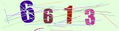 CAPTCHA validation image