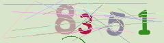 CAPTCHA validation image