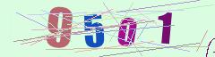 CAPTCHA validation image