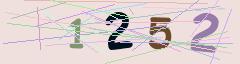 CAPTCHA validation image