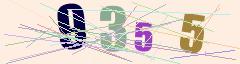 CAPTCHA validation image