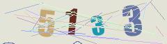 CAPTCHA validation image