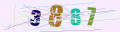 CAPTCHA validation image