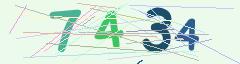 CAPTCHA validation image