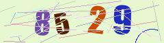CAPTCHA validation image