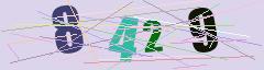 CAPTCHA validation image