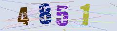CAPTCHA validation image