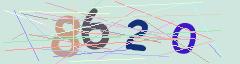 CAPTCHA validation image