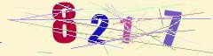 CAPTCHA validation image