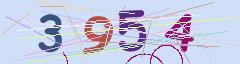 CAPTCHA validation image