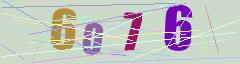 CAPTCHA validation image