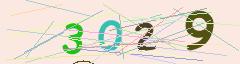 CAPTCHA validation image