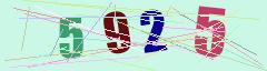 CAPTCHA validation image