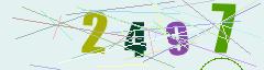 CAPTCHA validation image