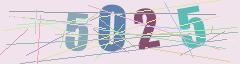 CAPTCHA validation image