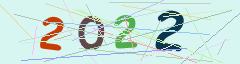 CAPTCHA validation image