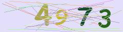 CAPTCHA validation image