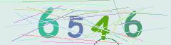 CAPTCHA validation image