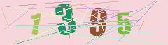 CAPTCHA validation image