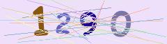 CAPTCHA validation image