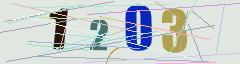CAPTCHA validation image