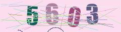 CAPTCHA validation image