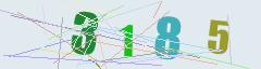 CAPTCHA validation image