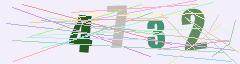 CAPTCHA validation image