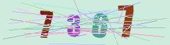 CAPTCHA validation image