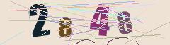 CAPTCHA validation image
