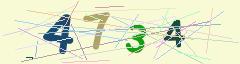 CAPTCHA validation image