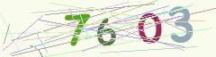 CAPTCHA validation image