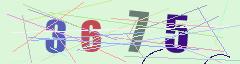 CAPTCHA validation image