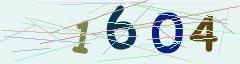 CAPTCHA validation image