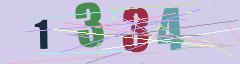 CAPTCHA validation image