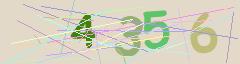 CAPTCHA validation image