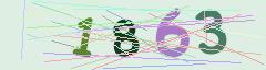 CAPTCHA validation image