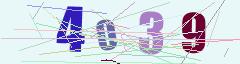 CAPTCHA validation image