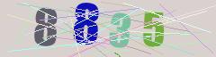 CAPTCHA validation image