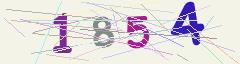 CAPTCHA validation image