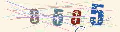 CAPTCHA validation image