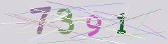 CAPTCHA validation image