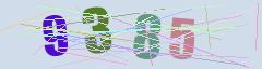 CAPTCHA validation image