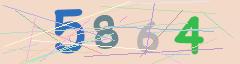 CAPTCHA validation image