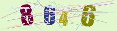 CAPTCHA validation image